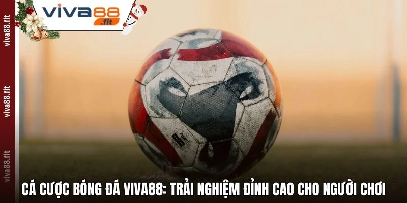 Cá Cược Bóng Đá Viva88: Trải Nghiệm Đỉnh Cao Cho Người Chơi