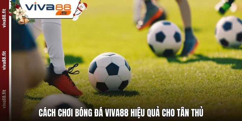 Cách chơi bóng đá Viva88 hiệu quả cho tân thủ
