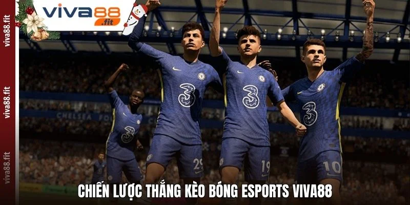 Chiến lược thắng Kèo bóng Esports Viva88