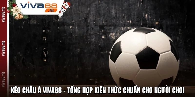 Kèo Châu Á Viva88 – Tổng Hợp Kiến Thức Chuẩn Cho Người Chơi