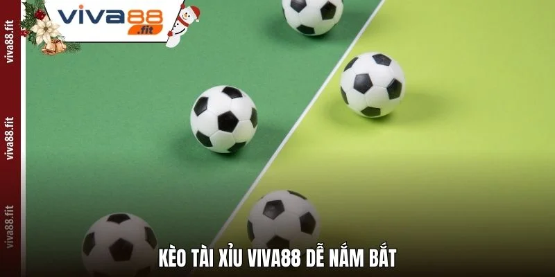 Kèo tài xỉu Viva88 dễ nắm bắt