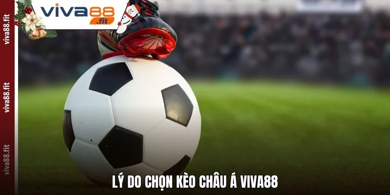 Lý do chọn Kèo châu Á Viva88
