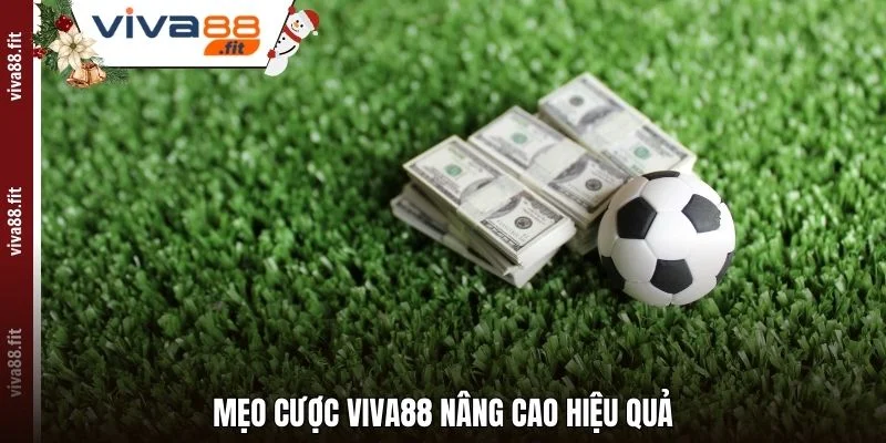 Mẹo cược Viva88 nâng cao hiệu quả