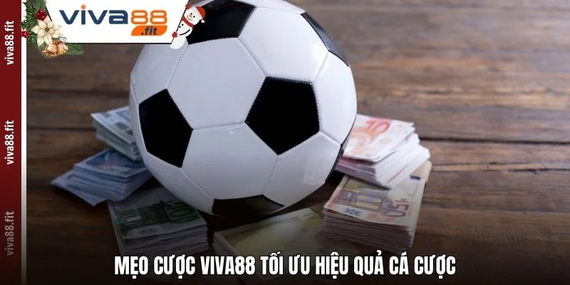 Mẹo cược Viva88 tối ưu hiệu quả cá cược