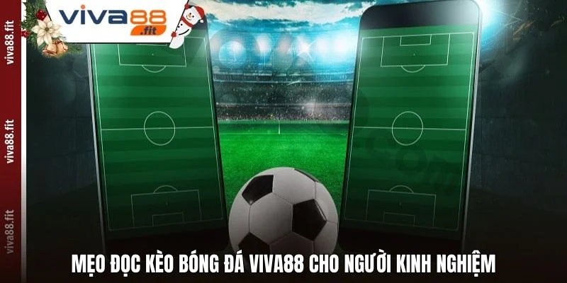 Mẹo đọc kèo bóng đá Viva88 cho người kinh nghiệm