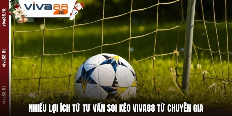 Nhiều lợi ích từ tư vấn soi kèo Viva88 từ chuyên gia