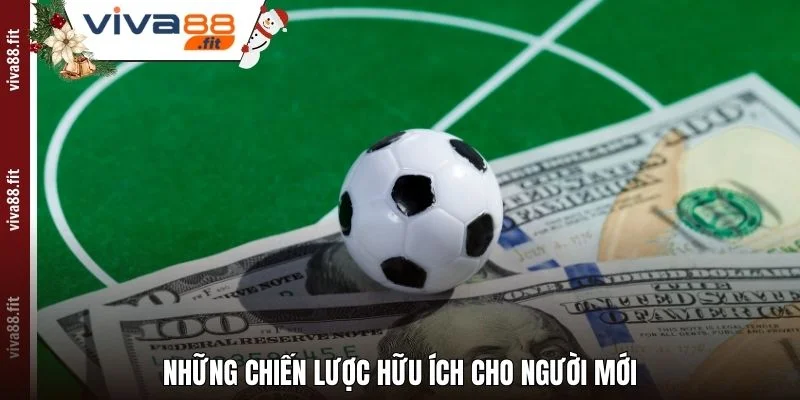 Những chiến lược hữu ích cho người mới