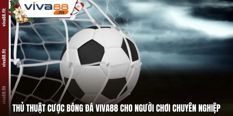 Thủ Thuật Cược Bóng Đá Viva88 Cho Người Chơi Chuyên Nghiệp