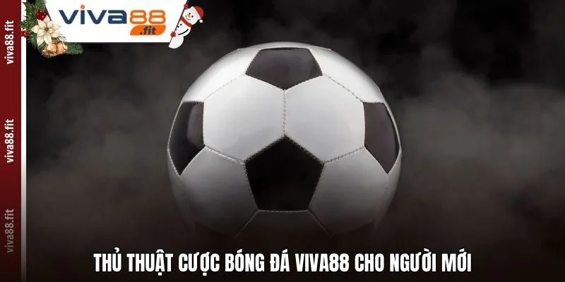Thủ thuật cược bóng đá Viva88 cho người mới
