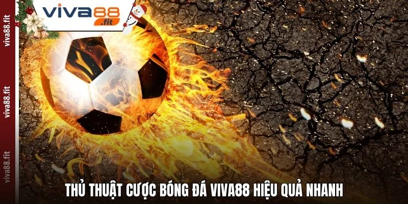 Thủ thuật cược bóng đá Viva88 hiệu quả nhanh