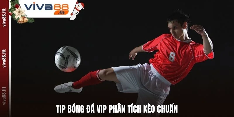 Tip bóng đá VIP phân tích kèo chuẩn