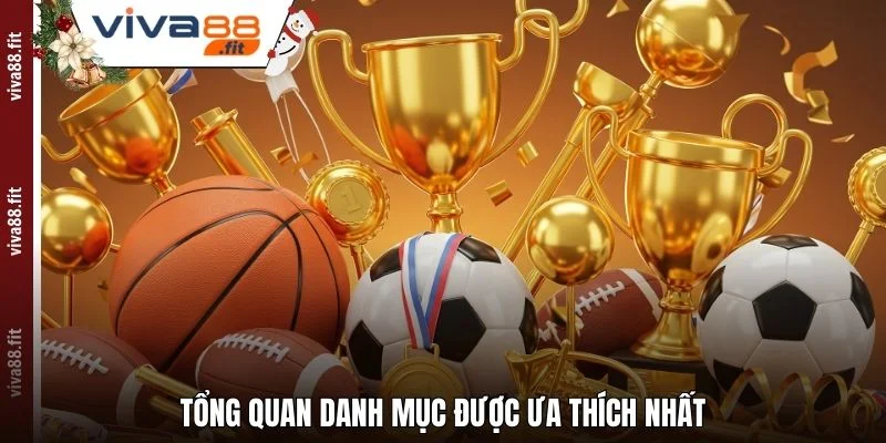 Tổng quan danh mục được ưa thích nhất