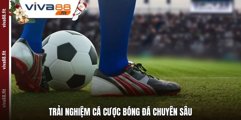 Trải nghiệm cá cược bóng đá chuyên sâu