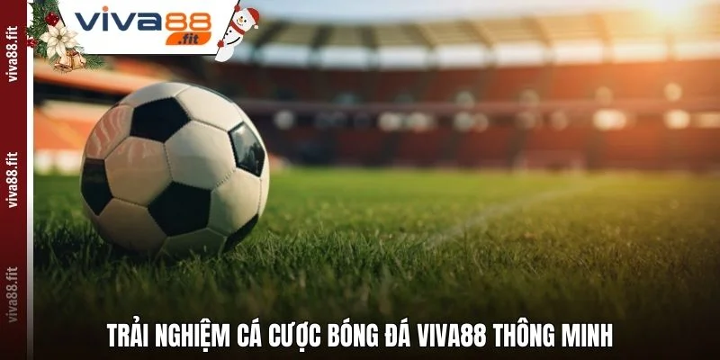 Trải nghiệm Cá cược bóng đá Viva88 thông minh