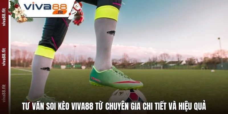 Tư Vấn Soi Kèo Viva88 Từ Chuyên Gia Chi Tiết Và Hiệu Quả