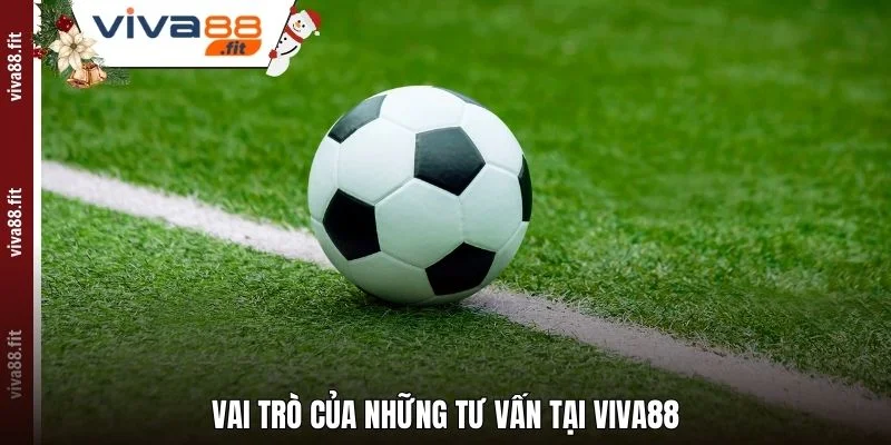 Vai trò của những tư vấn tại Viva88