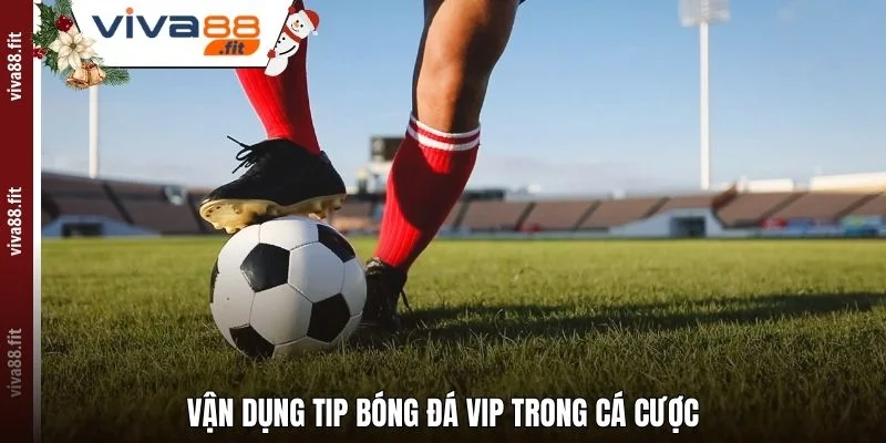Vận dụng Tip bóng đá VIP trong cá cược